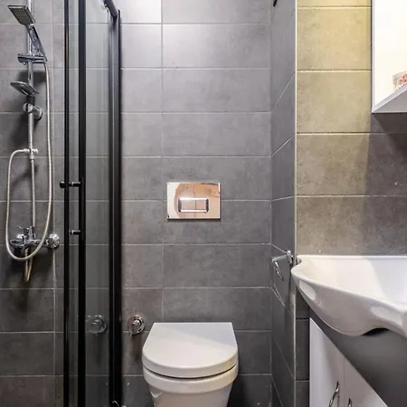 Pleasant Flat With Location In Sisli