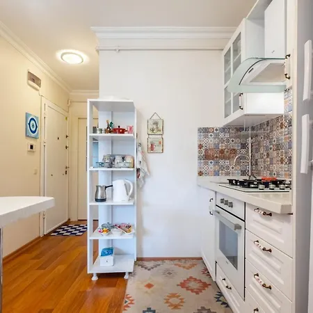 Pleasant Flat With Location In Sisli Apartment